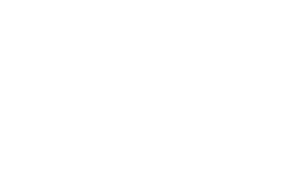 TheLastOne